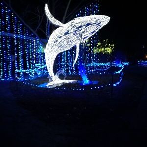 Meet your Posher, Lakesha